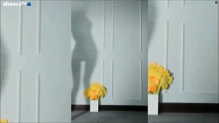 ���မ်ားအရိပ်